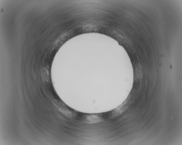 X0000079310183200612151801