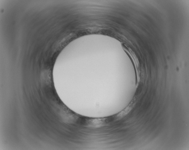 X0000079310184200612151801