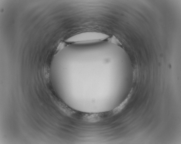 X0000079310186200612151801