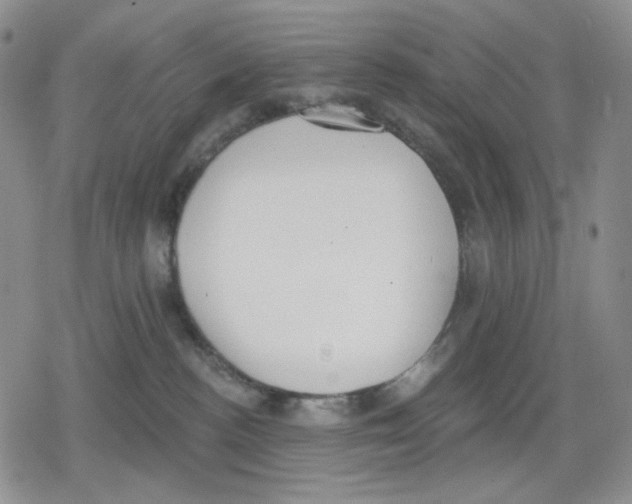 X0000079310188200612151801