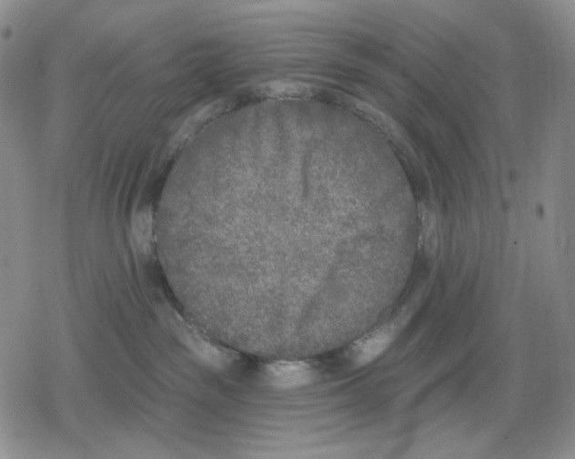 X0000079310189200612151801