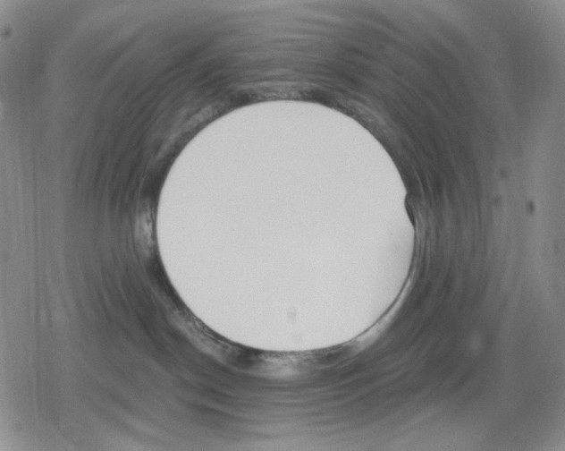 X0000079310190200612151801