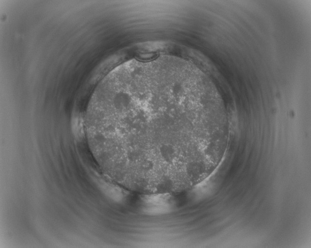 X0000079310191200612151801