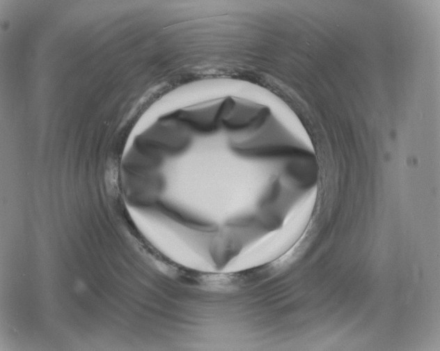 X0000079310192200612151801