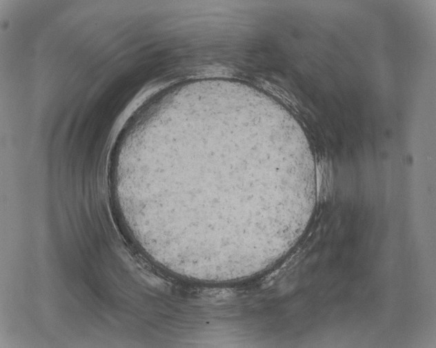 X0000079310195200612151800