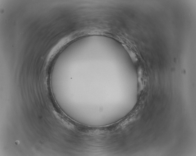 X0000079310197200612151800