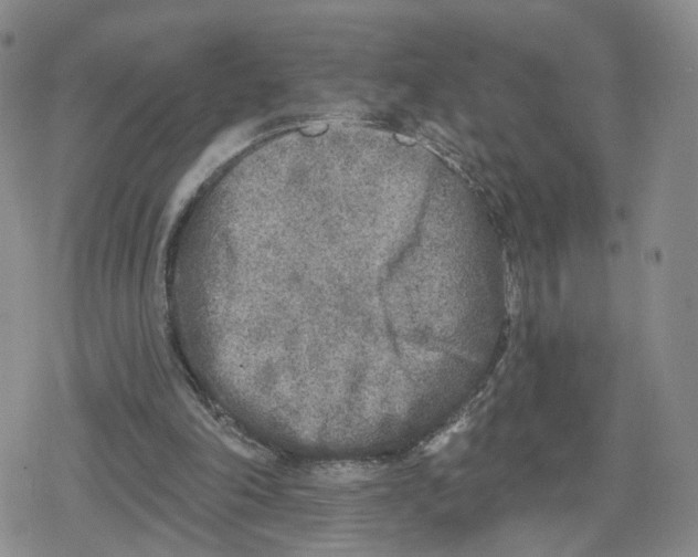 X0000079310198200612151800