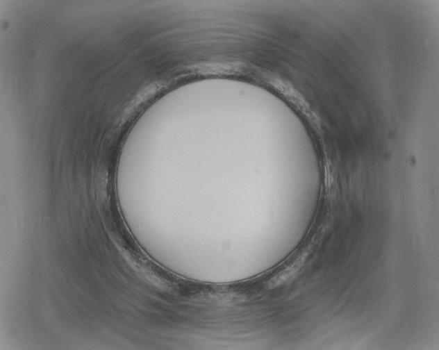 X0000079310201200612151800