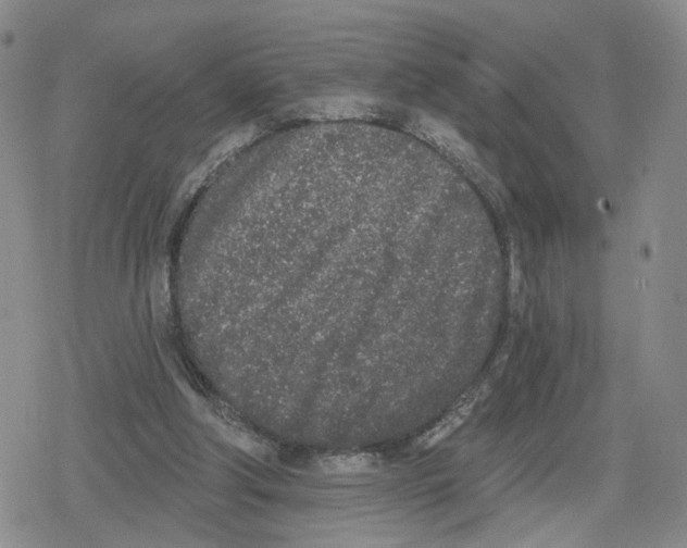 X0000079310202200612151800