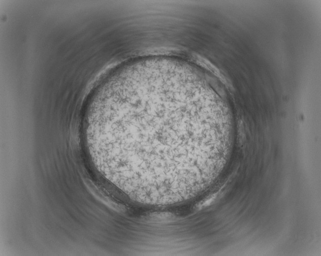 X0000079310203200612151800