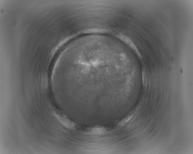 X0000079310204200612151800