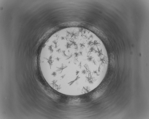 X0000079310206200612151800