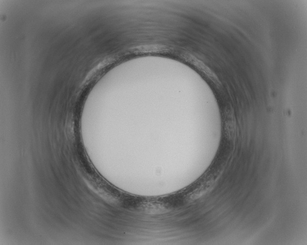 X0000079310207200612151800