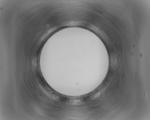 X0000079310208200612151800