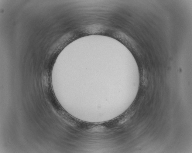 X0000079310210200612151800