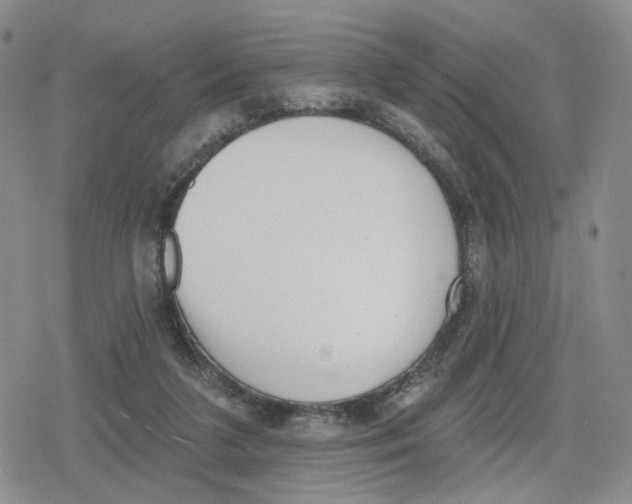 X0000079310211200612151800