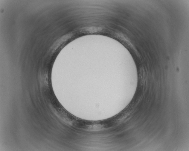 X0000079310212200612151800