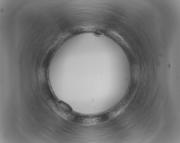 X0000079310213200612151800