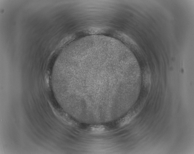 X0000079310214200612151800