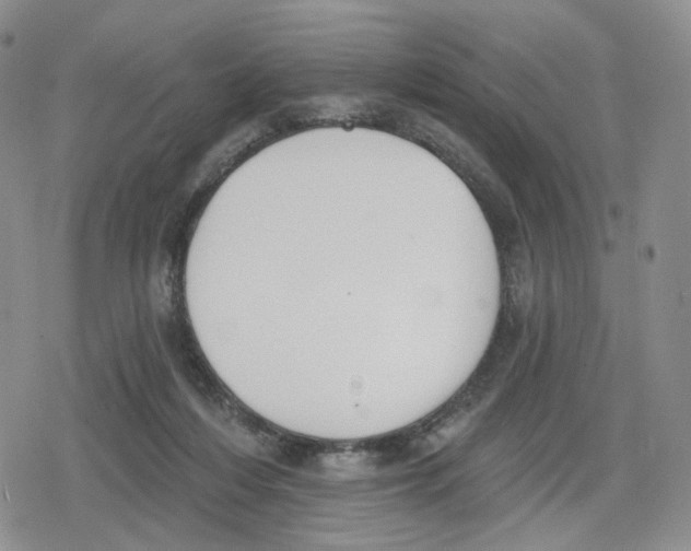 X0000079310216200612151800