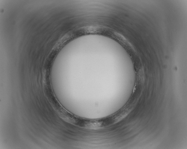 X0000079310217200612151800