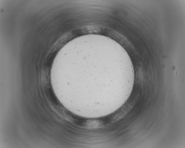 X0000079310218200612151800