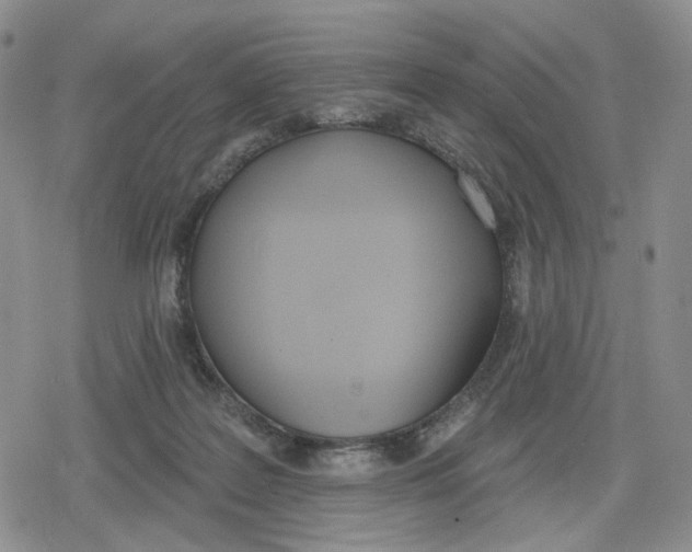 X0000079310219200612151800