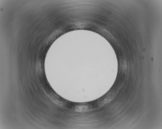 X0000079310220200612151800