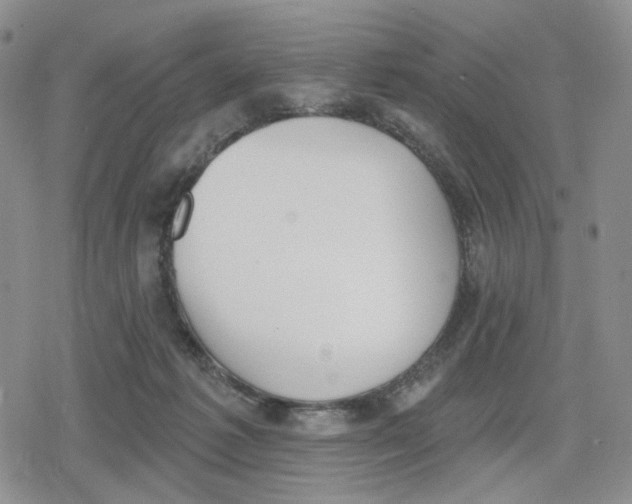 X0000079310221200612151800