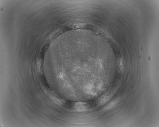 X0000079310222200612151800