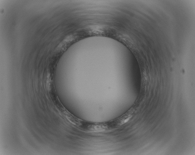 X0000079310223200612151800