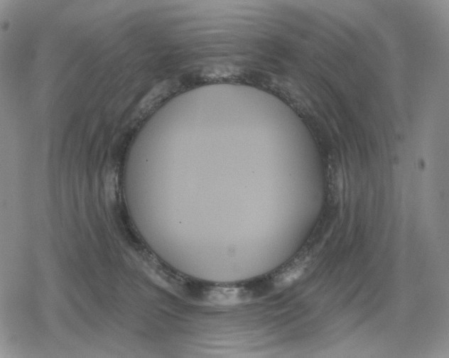 X0000079310227200612151800