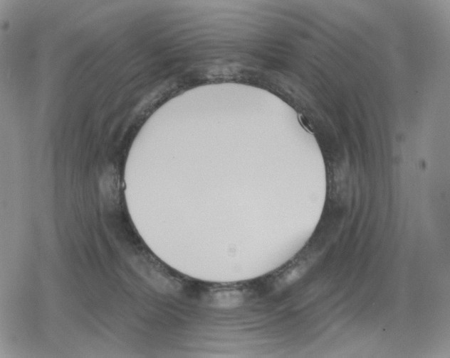 X0000079310228200612151800