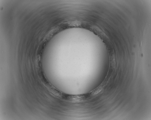 X0000079310229200612151800