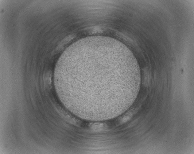 X0000079310230200612151800