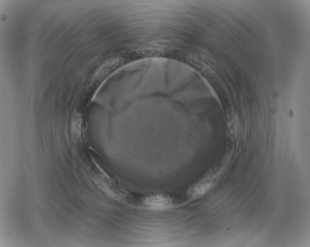 X0000079310231200612151800