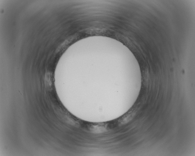 X0000079310232200612151800