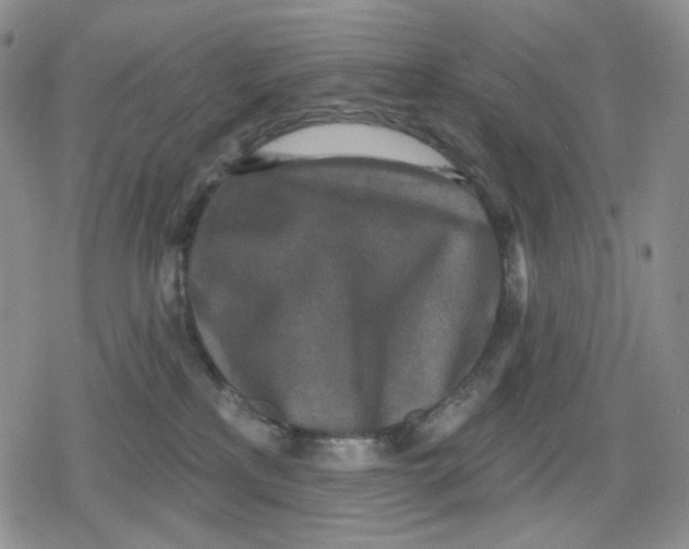 X0000079310233200612151800