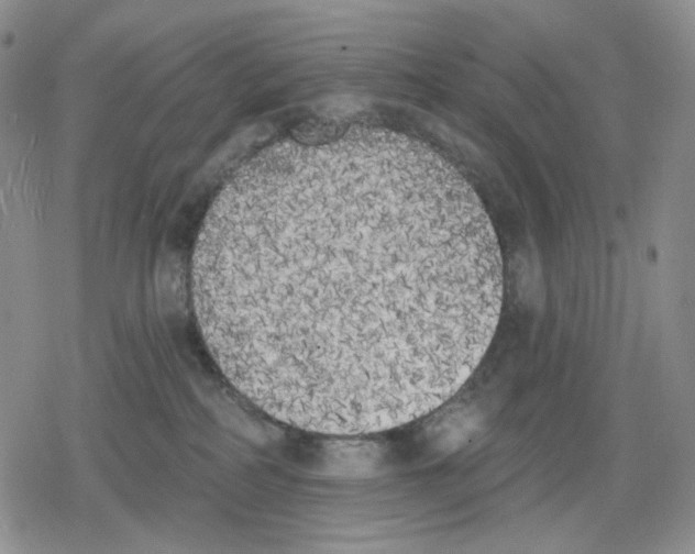 X0000079310234200612151800