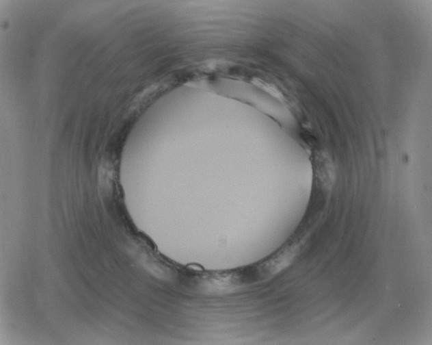 X0000079310235200612151800