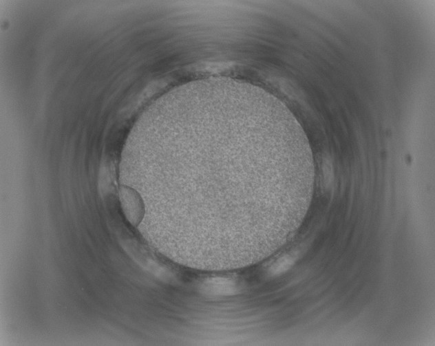 X0000079310236200612151800