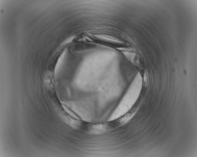 X0000079310237200612151800