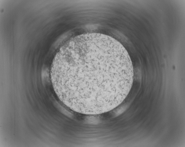 X0000079310238200612151800