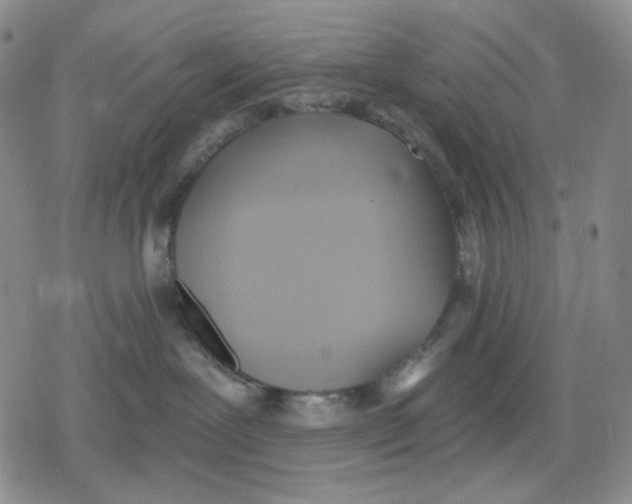 X0000079310239200612151800