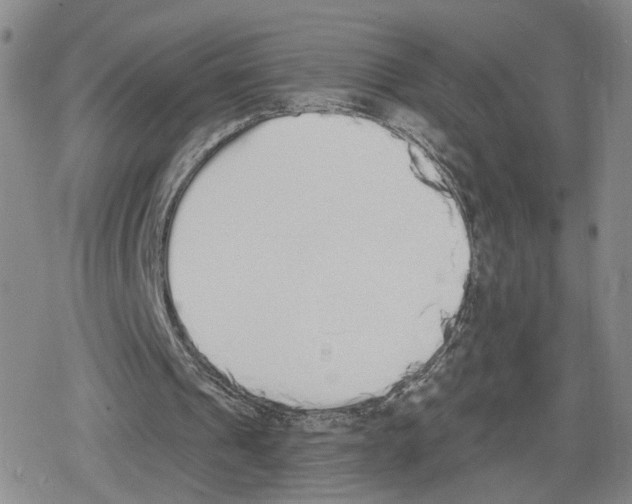 X0000079310241200612151759