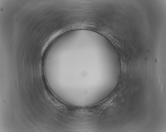 X0000079310244200612151759