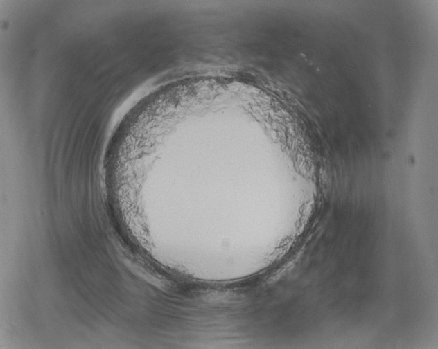 X0000079310246200612151759