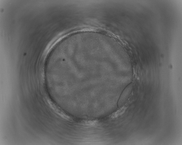 X0000079310247200612151759