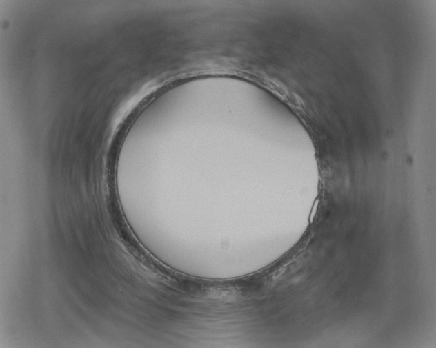 X0000079310248200612151759