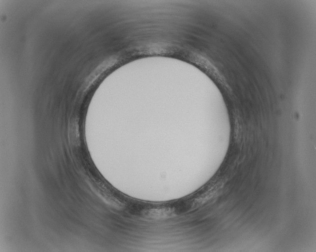 X0000079310251200612151759